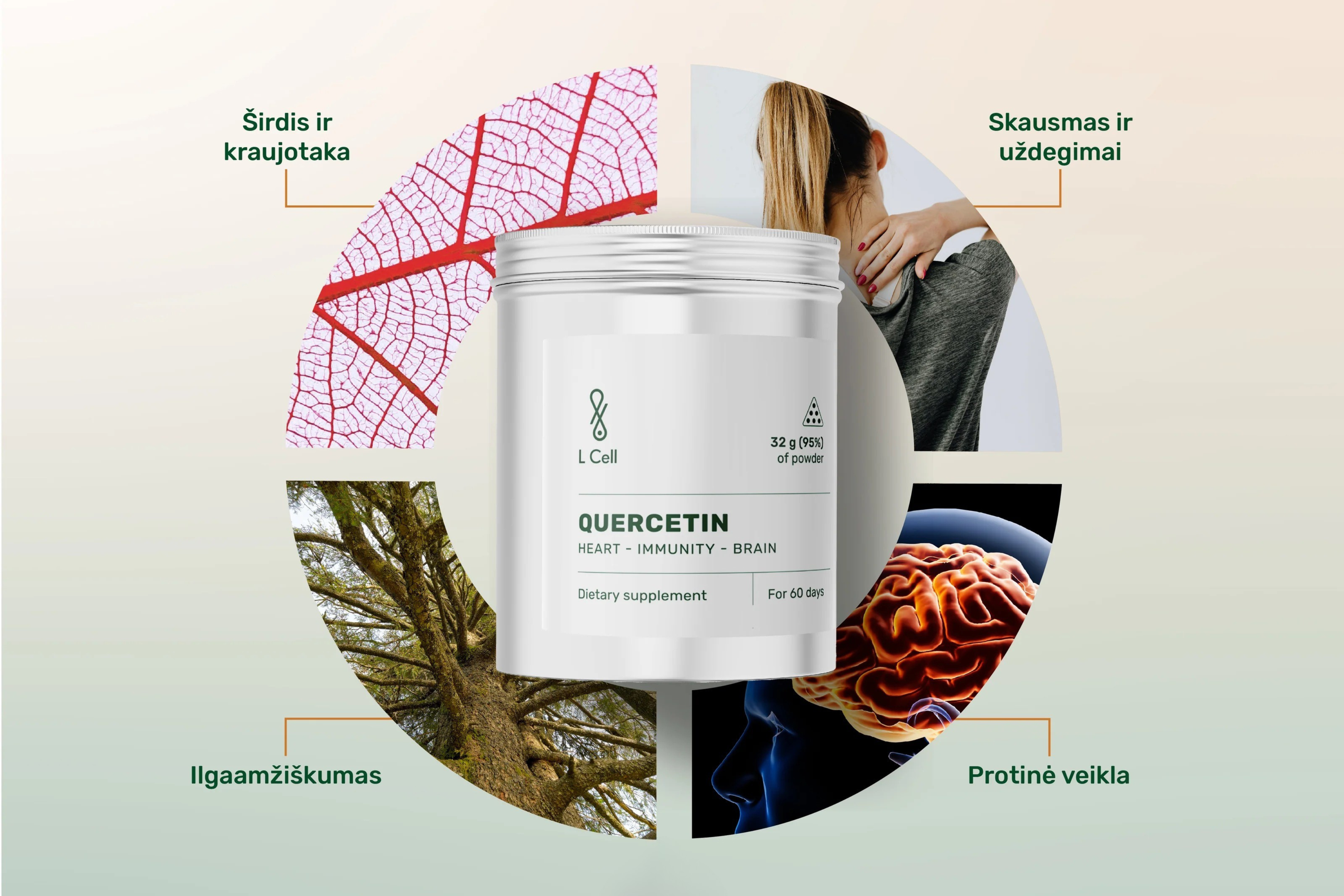 Kvercetinas: kodėl šis flavonoidas svarbus sveikam senėjimui?