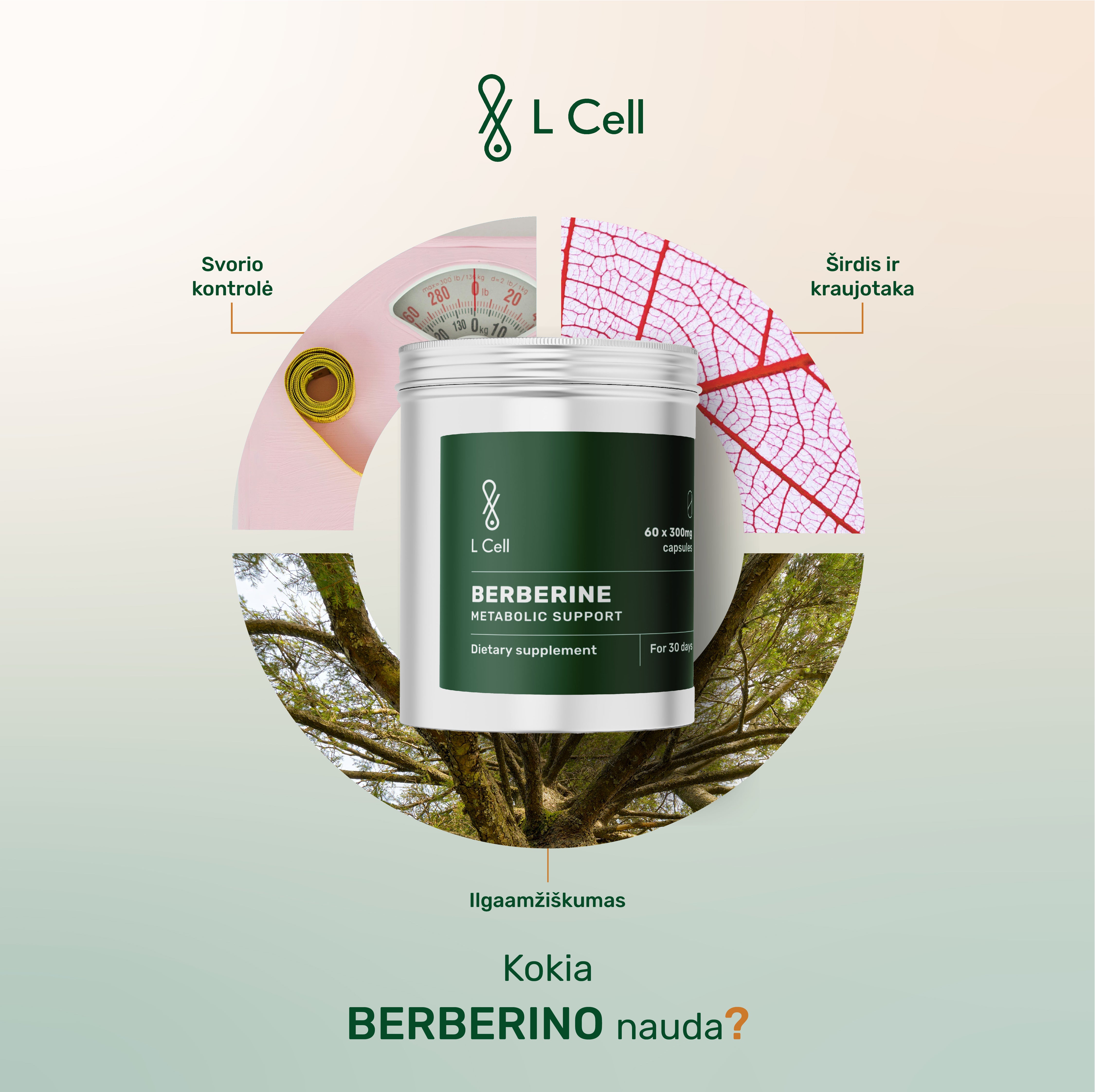 Berberinas (300mg kapsulės, 60 vnt.)