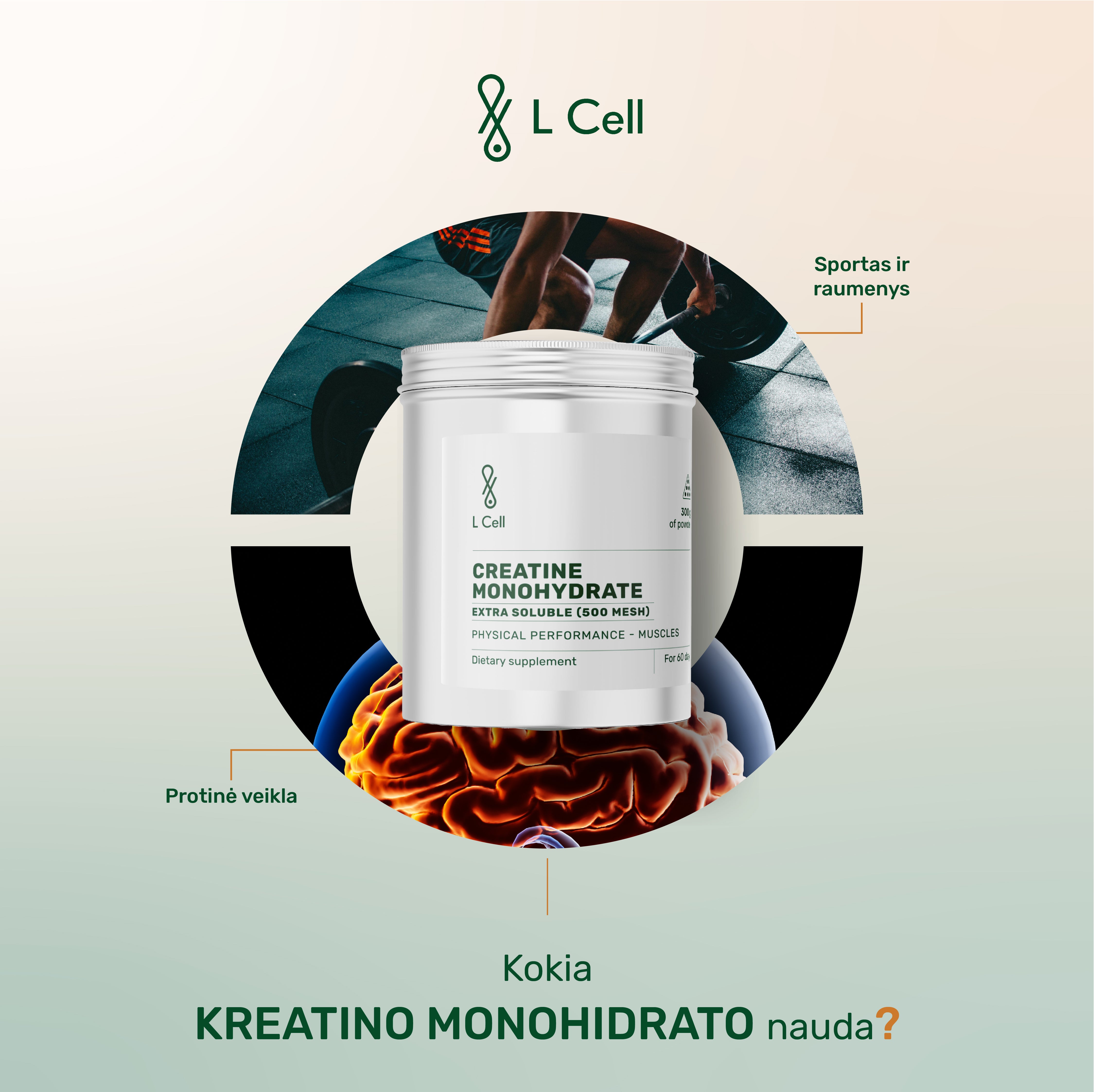 Kreatino monohidratas, mikrozinuotas (300g, 500 mesh), ultra tirpus