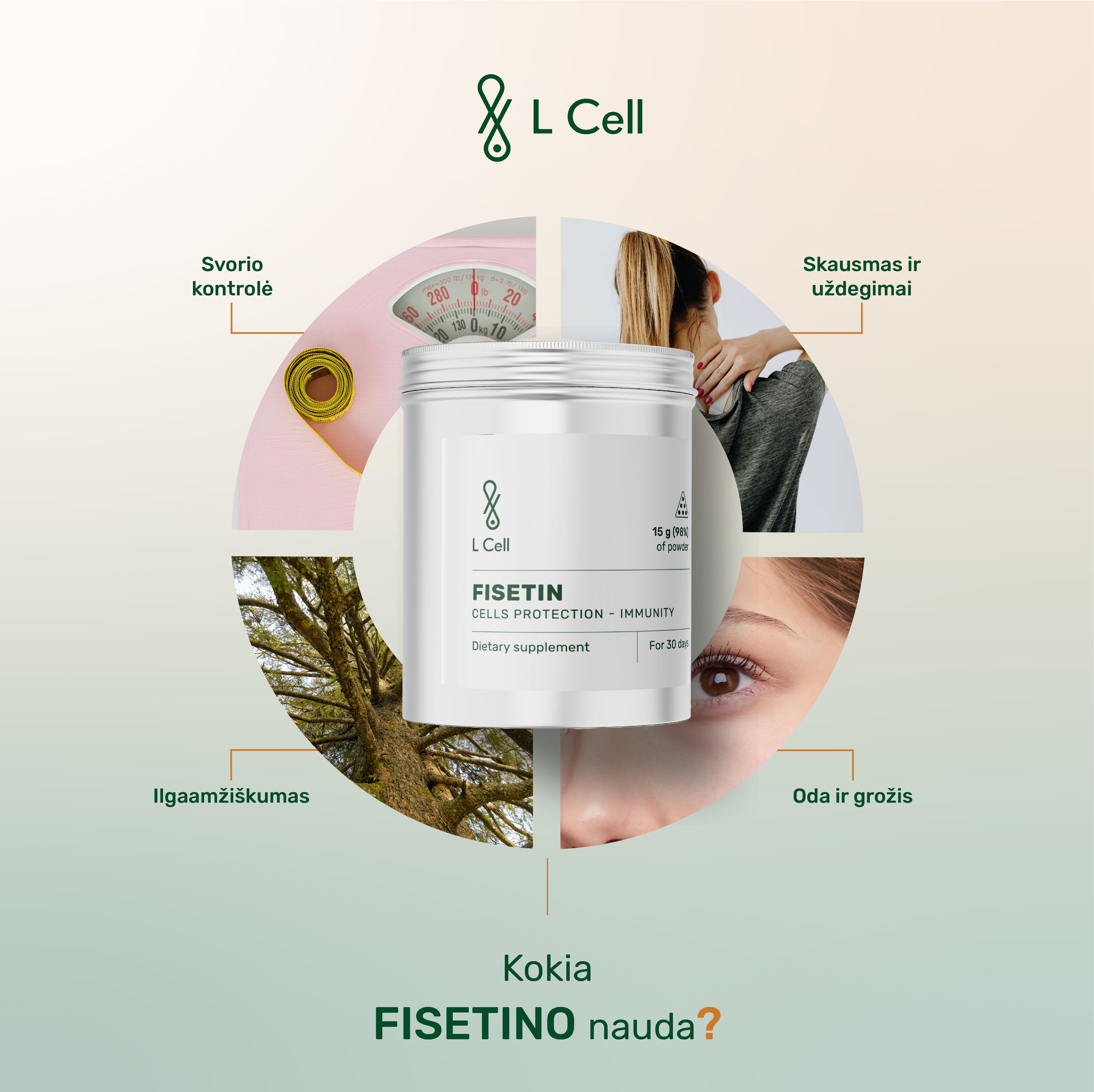 Fisetin Powder 15g (30 days, >98% purity)