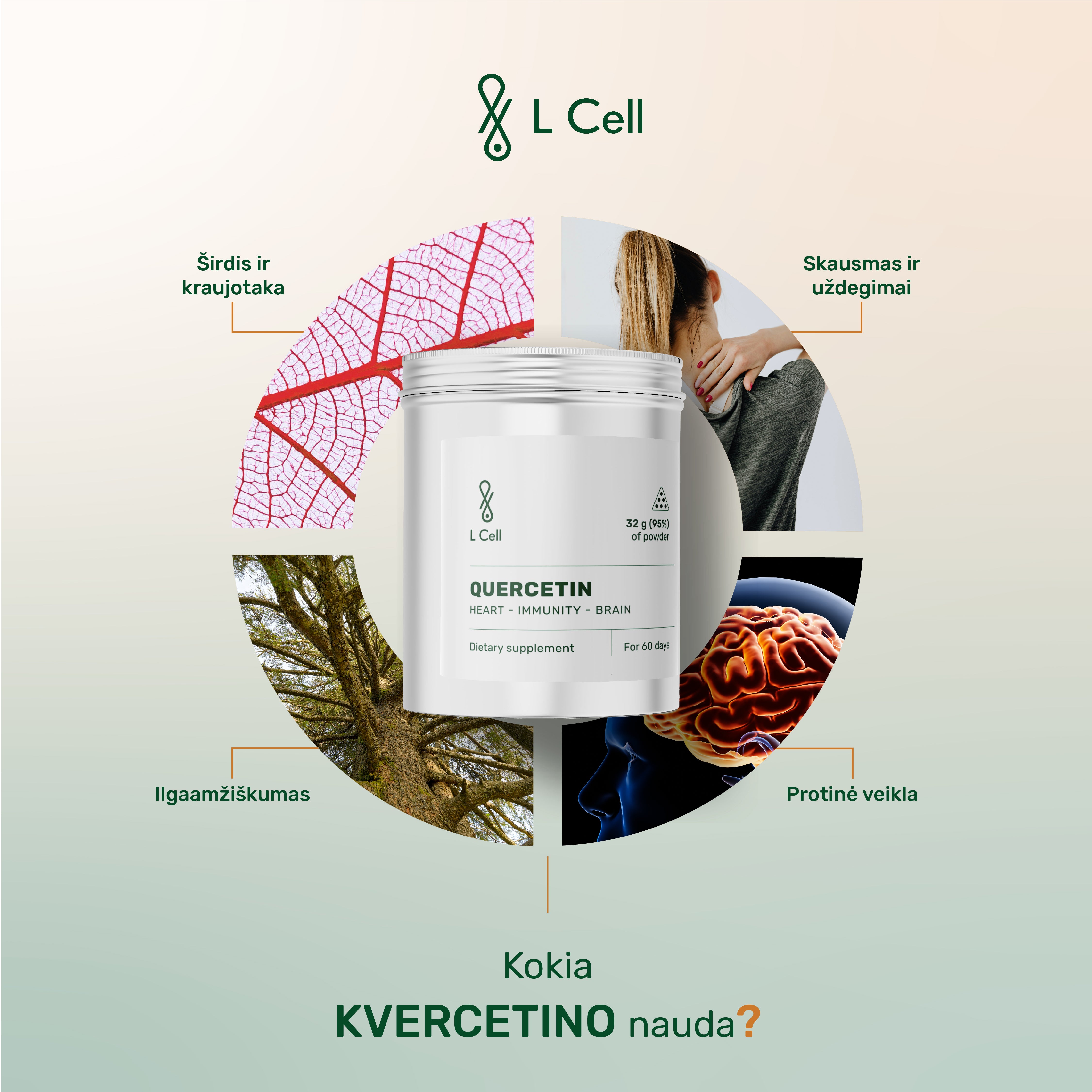 Quercetin Powder 30g (60 days, >98% purity)