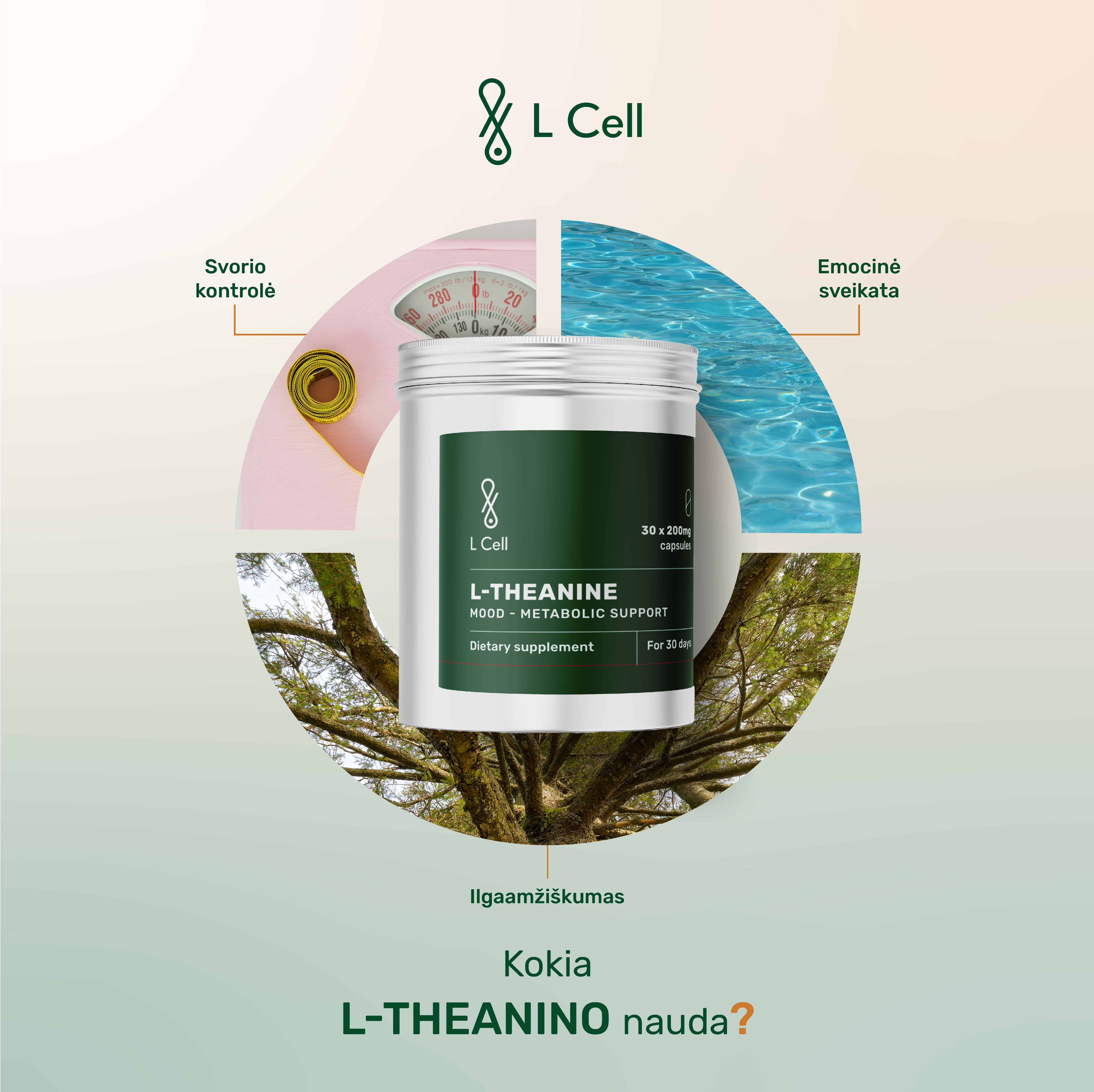 L-Teaninas (200mg kapsulės, 30 vnt.)