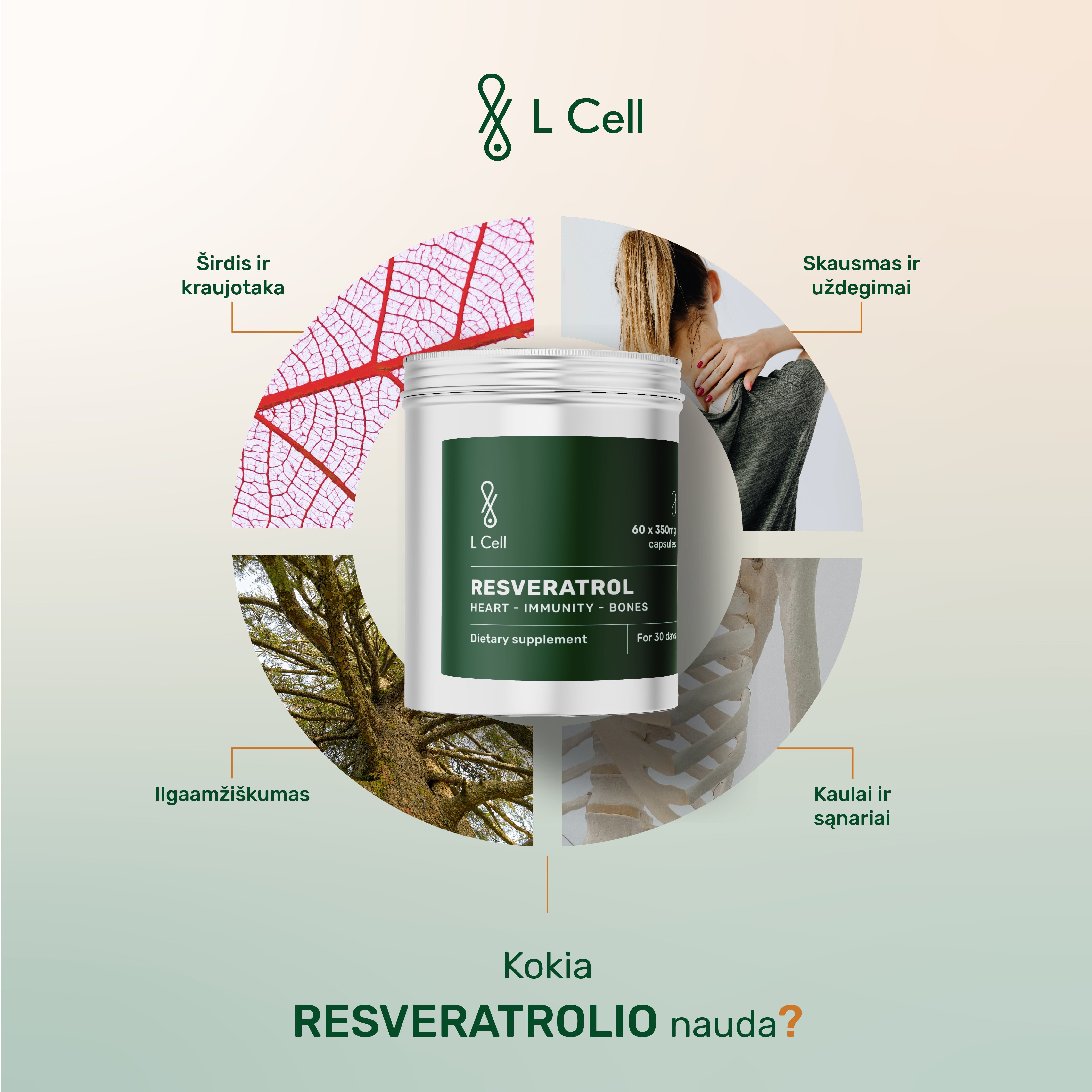 Trans Resveratrolis (300mg kapsulės, 60 vnt.)