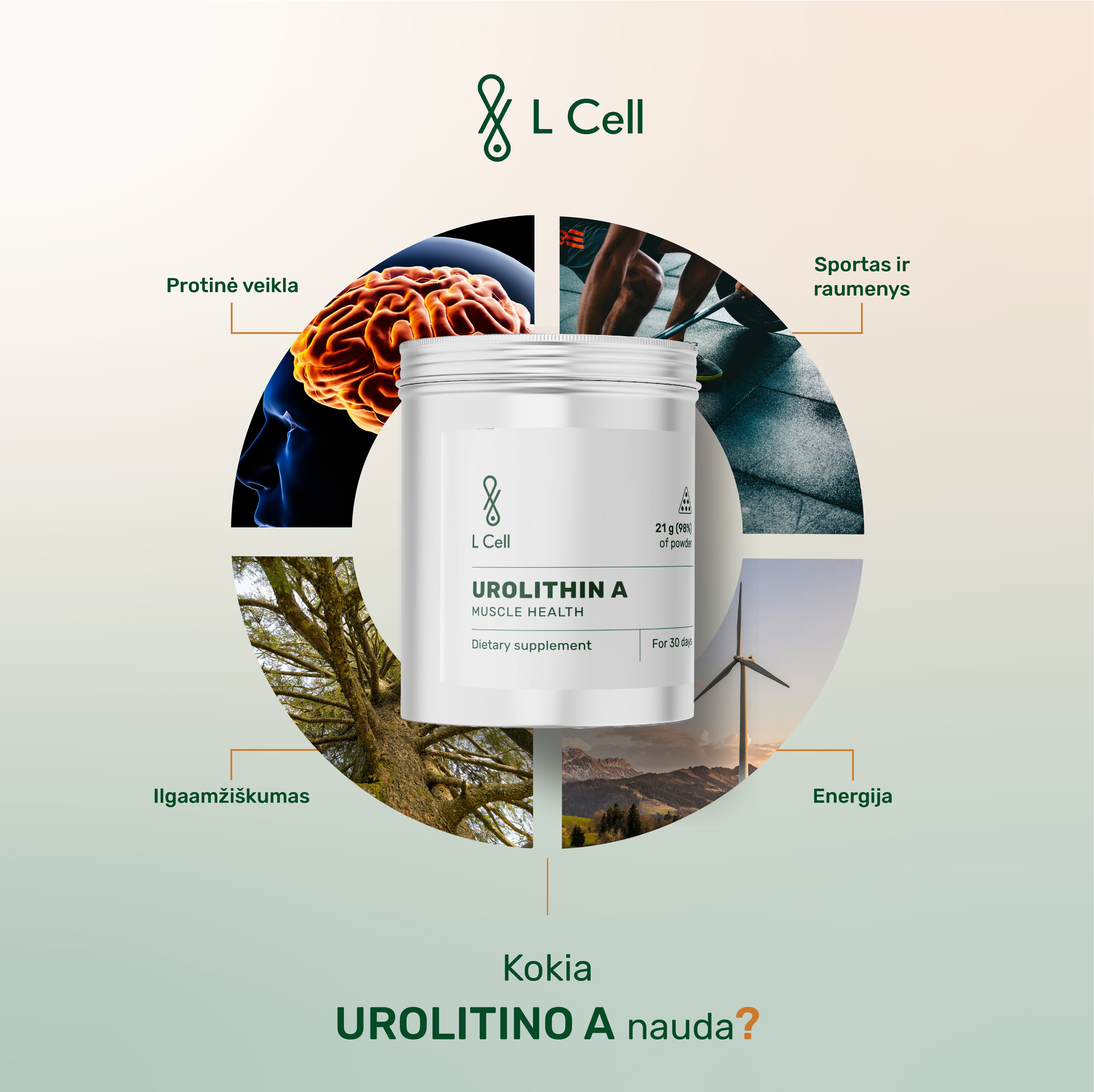 Urolithin A Powder 21g (30 days, >98% purity)