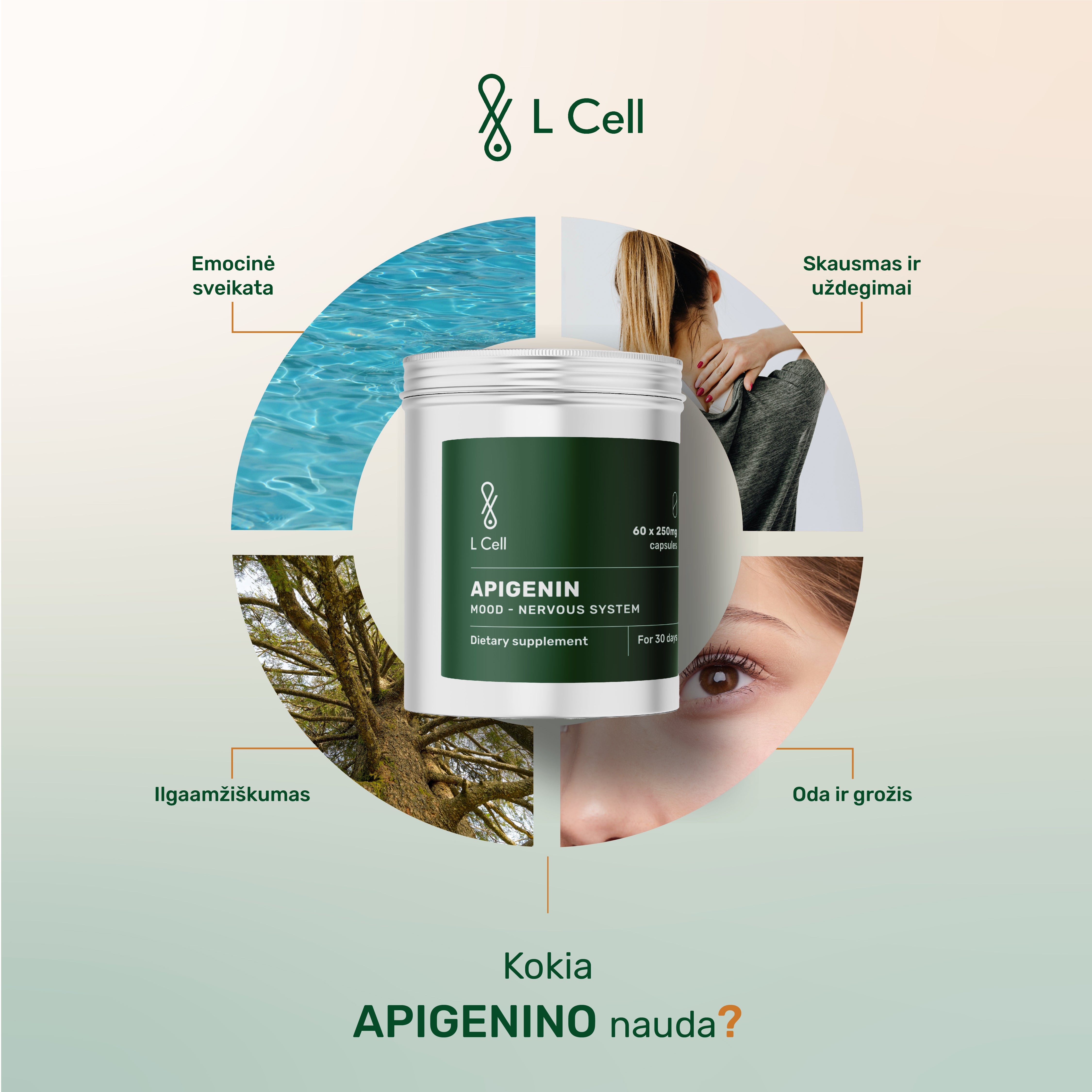 Apigeninas (milteliai, 30g)