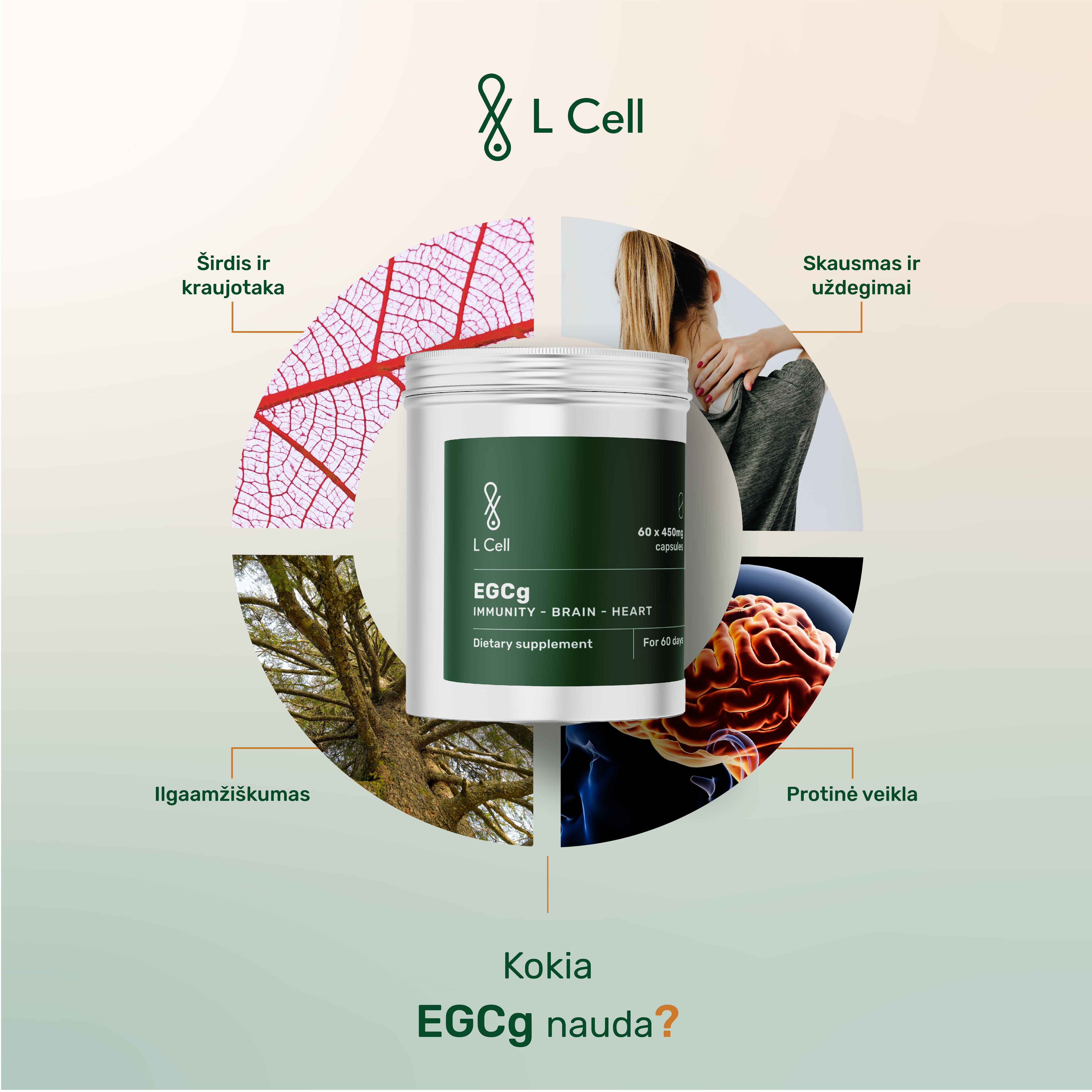 EGCg Capsules 450mg (60 days, 60 pc.)