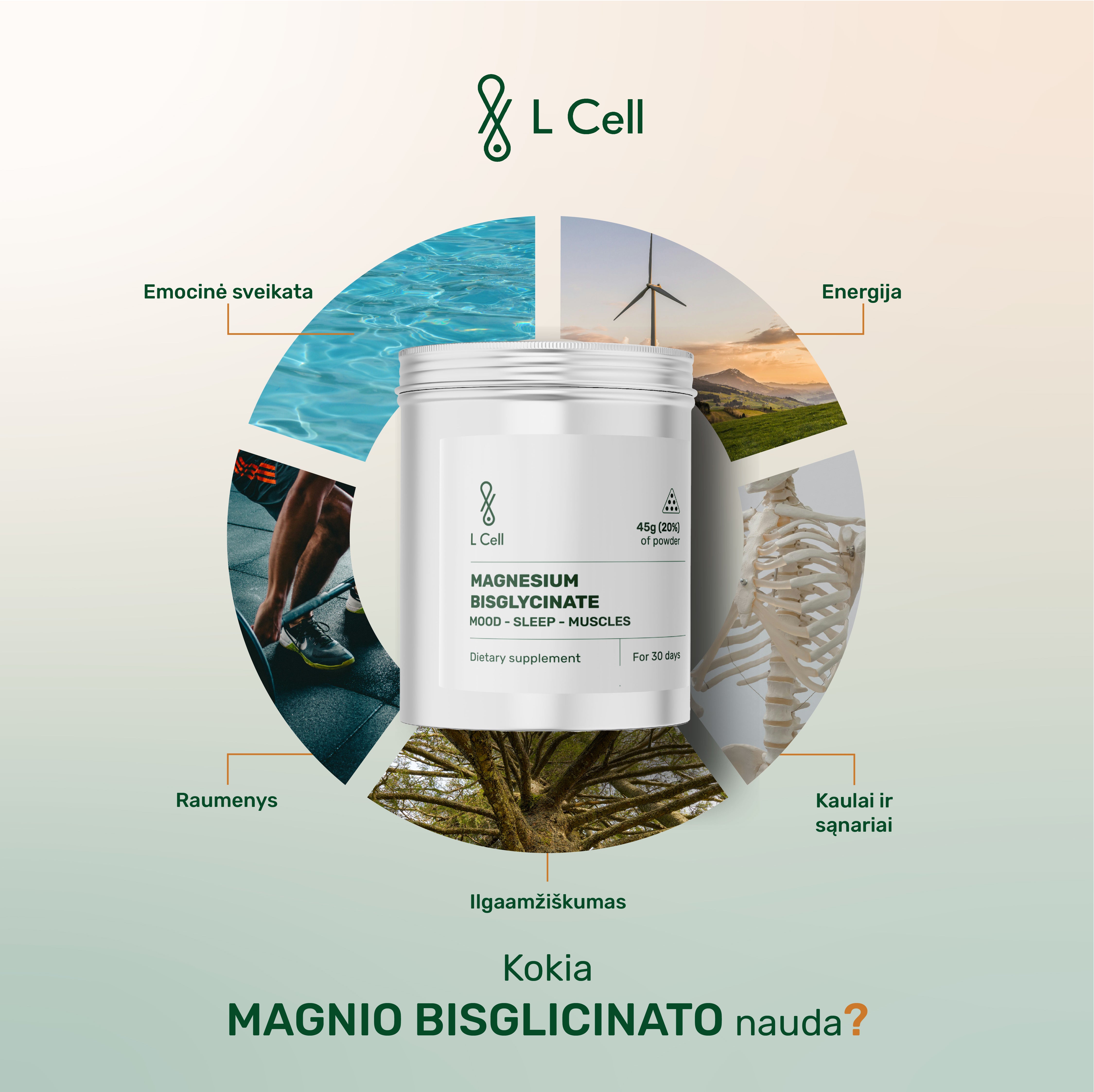 Magnesium Bisglycinate Capsules 500mg (30 days, 90 pc.)