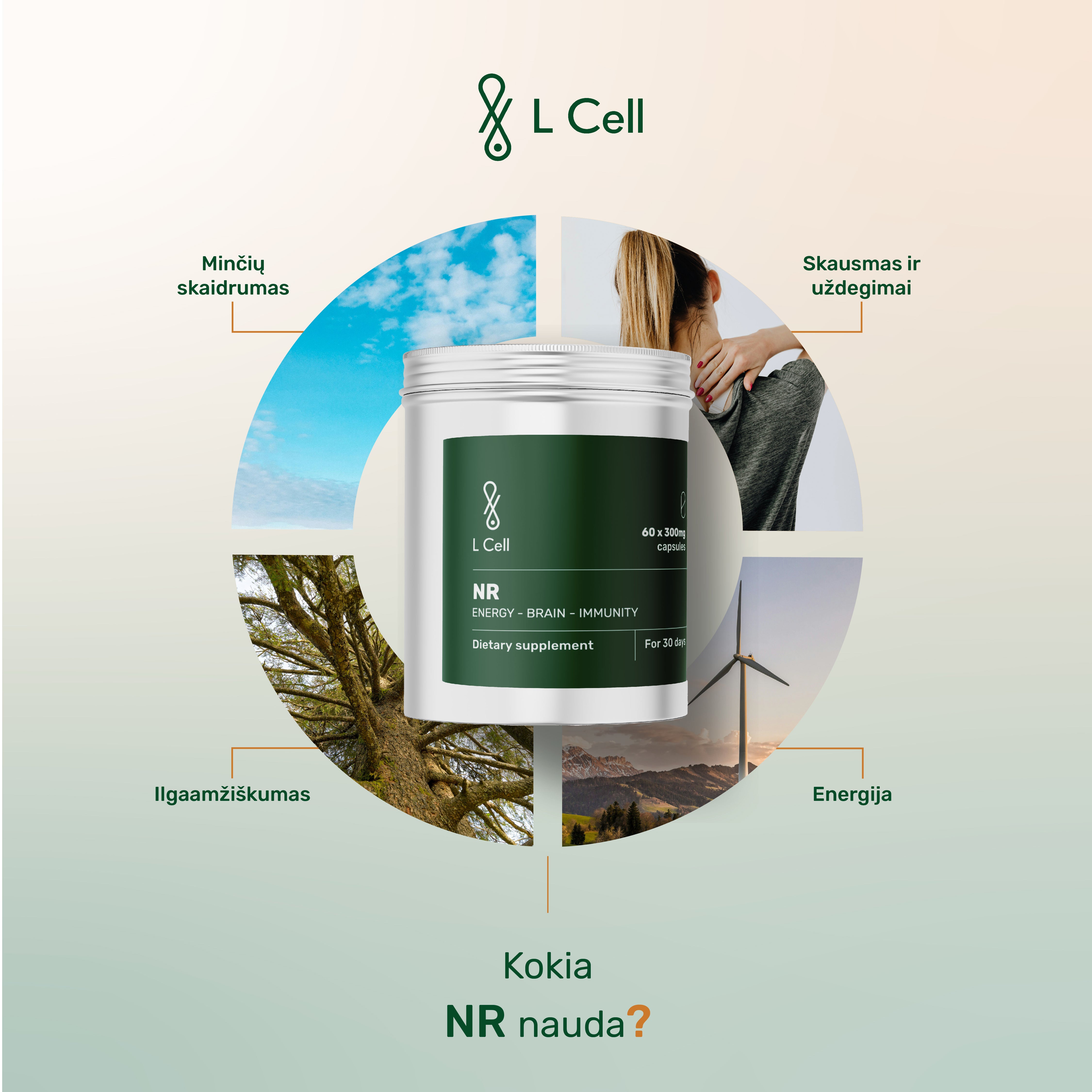 NR Capsules 300mg (30 days, 60pc)