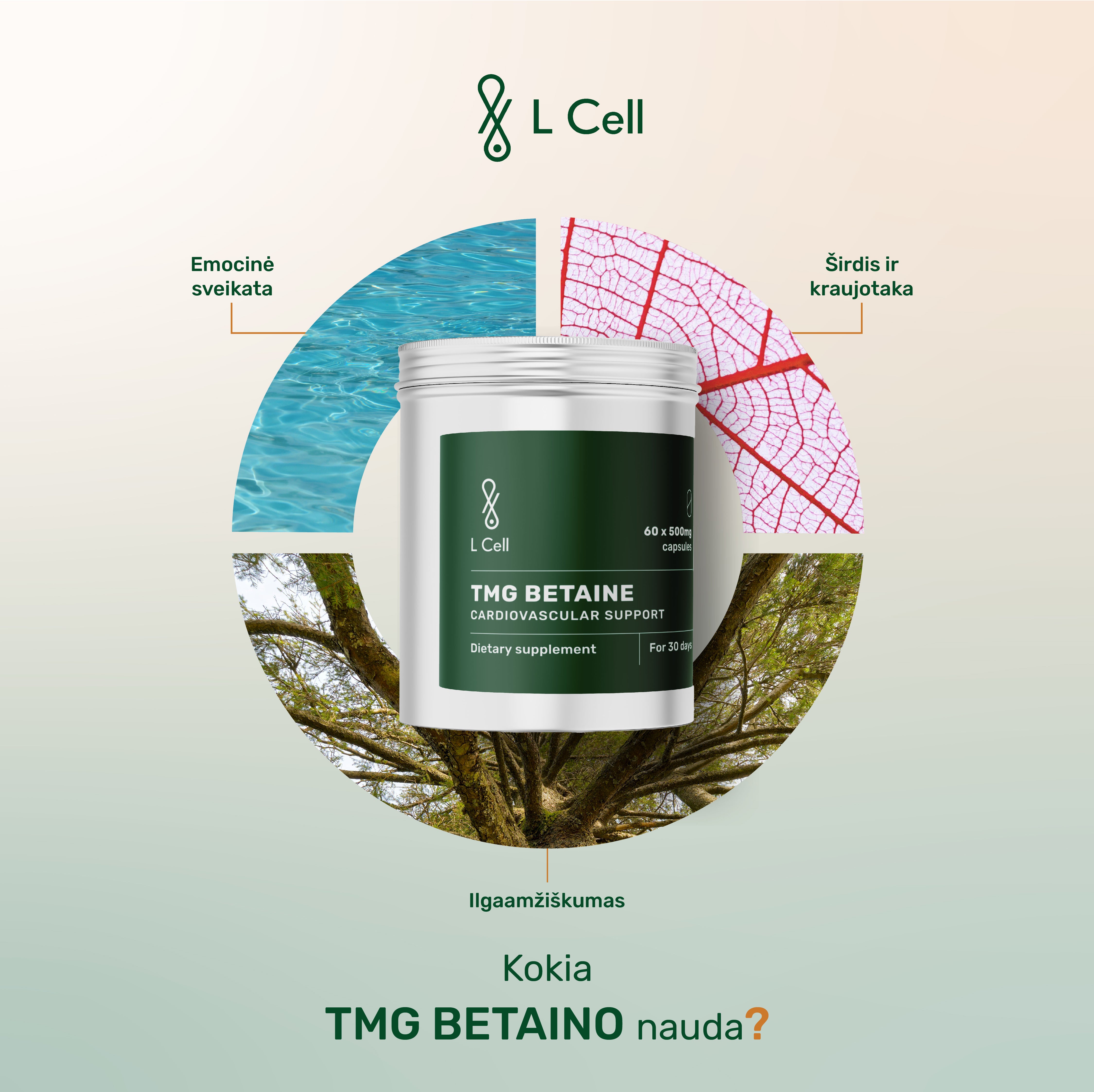 TMG Betainas (500mg kapsulės, 60 vnt.)